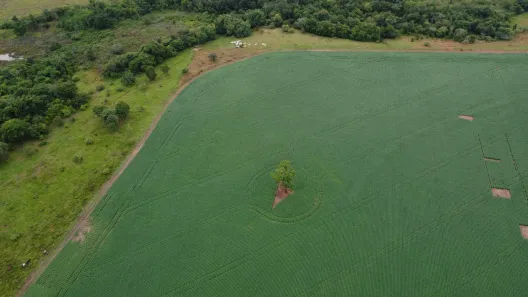 Fazenda/Sítio à venda, 1654892m² no , Itaberaí
