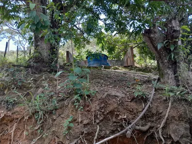 Fazenda/Sítio com 2 Quartos à venda, 150000m² no Área Rural de Brazlândia, Brasília