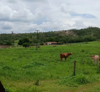 Fazenda/Sítio à venda, 28m² no Brazlândia, Brasília
