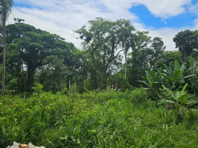 Lote/Terreno à venda, 900m² no Antonina, Antonina
