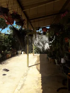 Casa com 1 Quarto à venda, 100m² no Ponte Alta Norte, Brasília