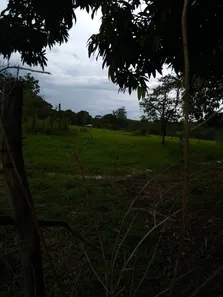 Fazenda/Sítio à venda, 49000m² no Área Rural de Valparaíso de Goiás, Valparaíso de Goiás