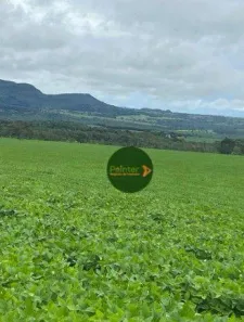 Fazenda/Sítio à venda, 5614400m² no , Jaraguá