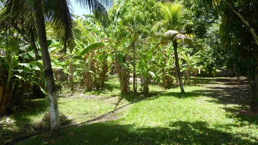 Fazenda/Sítio com 6 Quartos para alugar, 485m² no Monte Gordo (Monte Gordo), Camaçari