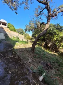 Casa com 4 Quartos para alugar, 164m² no Ribeiro de Abreu, Belo Horizonte
