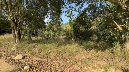 Fazenda/Sítio com 3 Quartos à venda, 14000m² no Rio Mole (Bacaxá), Saquarema