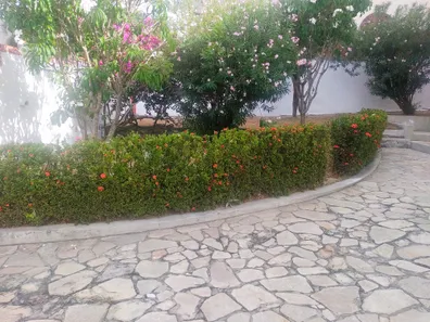 Sobrado com 4 Quartos à venda, 250m² no Ponta Negra, Natal