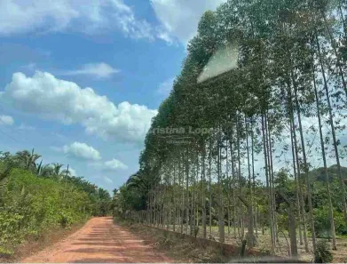 Lote/Terreno à venda, 10m² no , Demerval Lobão