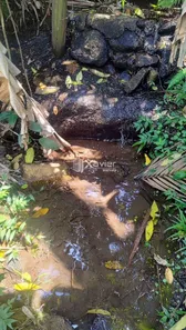 Fazenda/Sítio com 3 Quartos à venda, 11800m² no Comunidade Urbana de Jaboti, Guarapari