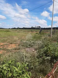 Fazenda/Sítio com 3 Quartos à venda, 8m² no Centro, Avaí