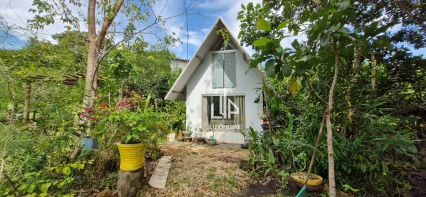 Fazenda/Sítio com 2 Quartos à venda, 80m² no Área Rural de Palmas, Palmas
