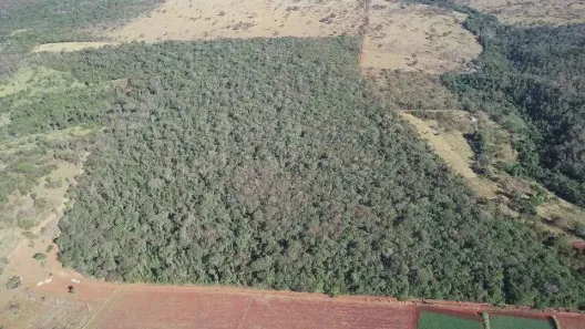 Fazenda/Sítio à venda, 43562m² no , Terezópolis de Goiás