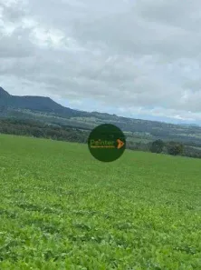 Fazenda/Sítio à venda, 5614400m² no , Jaraguá