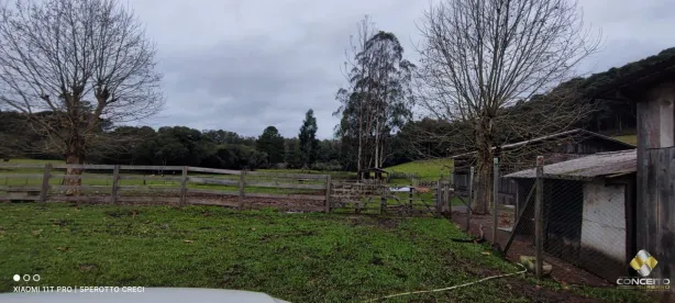Fazenda/Sítio com 2 Quartos à venda, 90m² no Área Rural de Farroupilha, Farroupilha