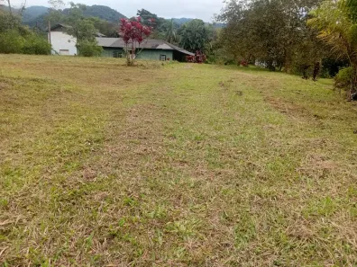 Fazenda/Sítio com 3 Quartos à venda, 338000m² no Guaraqueçaba, Guaraqueçaba