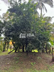 Lote/Terreno à venda, 1365m² no , Guaraqueçaba