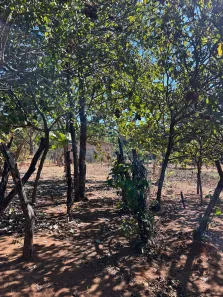 Fazenda/Sítio à venda, 2100m² no , Bonfinópolis