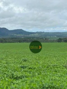 Fazenda/Sítio à venda, 5614400m² no , Jaraguá