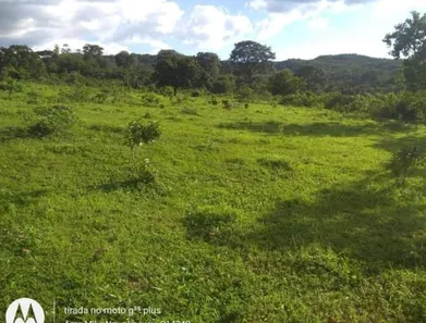 Fazenda/Sítio à venda no Jardim Vera Cruz, Jaraguá