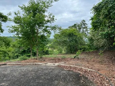 Fazenda/Sítio à venda, 2879m² no , Nerópolis