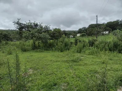 Lote/Terreno à venda, 20000m² no , Fortuna de Minas