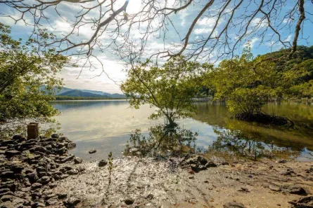 Lote/Terreno à venda, 40435m² no Balneario Praia do Perequê, Guarujá