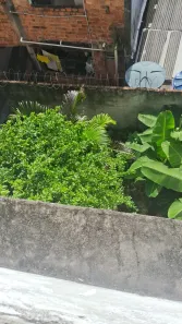 Casa com 3 Quartos à venda, 100m² no Nordeste de Amaralina, Salvador