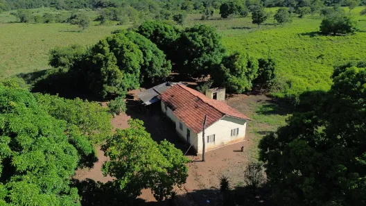 Fazenda/Sítio com 3 Quartos à venda, 520000m² no , Buritis