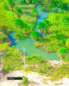 Fazenda/Sítio com 1 Quarto à venda, 625000m² no , Bonfim