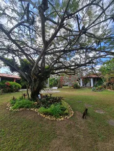 Casa com 3 Quartos à venda, 250m² no Vila de Abrantes (Abrantes), Camaçari