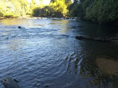 Fazenda/Sítio com 4 Quartos à venda, 1137400m² no , 