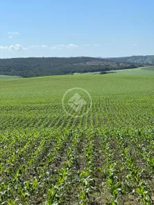 Fazenda/Sítio à venda, 200m² no Vila Santa Maria, Inhumas