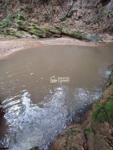 Fazenda/Sítio com 3 Quartos à venda, 4640m² no , Silvânia