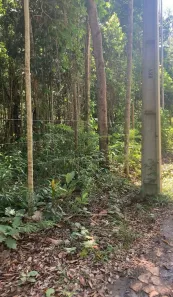 Lote/Terreno à venda, 843m² no Trancoso, Porto Seguro