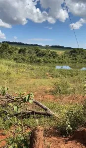 Fazenda/Sítio à venda, 244000m² no , Nova Veneza