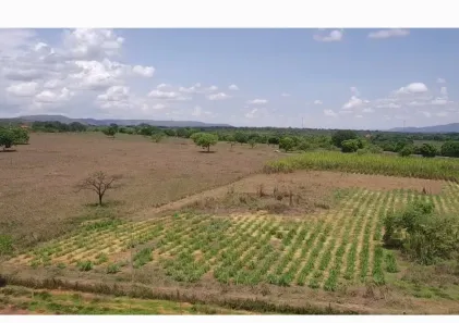 Fazenda/Sítio à venda no , Buritis