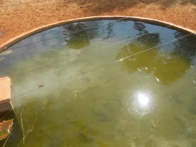 Fazenda/Sítio com 6 Quartos à venda, 14000000m² no Centro, Buenópolis