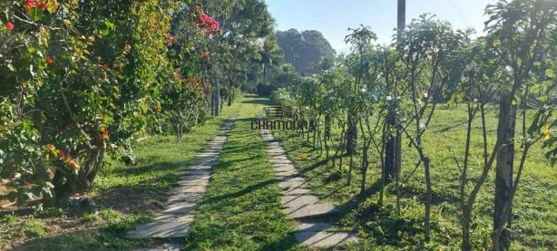 Fazenda/Sítio com 3 Quartos à venda, 8000m² no Comunidade Urbana de Jaboticaba, Guarapari