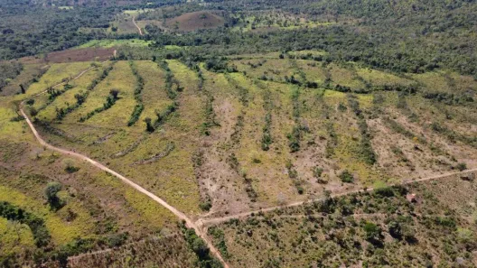 Fazenda/Sítio à venda, 1001m² no Centro, Porto Nacional