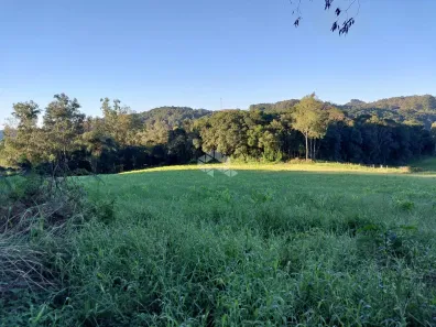 Fazenda/Sítio com 1 Quarto à venda, 20000m² no Monte Verde, Farroupilha