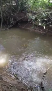 Fazenda/Sítio com 2 Quartos à venda, 5000m² no , Gameleira de Goiás