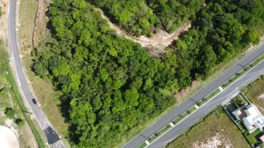 Lote/Terreno à venda, 2000m² no Centro, Simões Filho