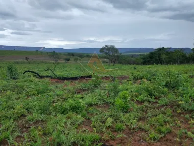 Fazenda/Sítio com 2 Quartos à venda, 22215600m² no Zona Rural, Ponte Alta do Bom Jesus