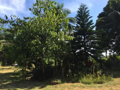 Fazenda/Sítio com 3 Quartos à venda, 172m² no Rio Mole (Bacaxá), Saquarema