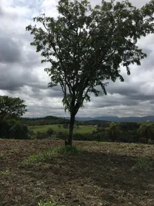 Lote/Terreno à venda, 33000m² no Citrolândia, Betim