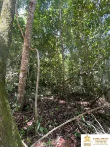 Lote/Terreno à venda, 5000m² no Trancoso, Porto Seguro