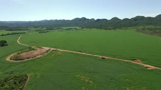 Fazenda/Sítio à venda, 18972800m² no , Niquelândia