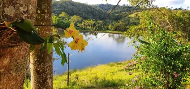 Fazenda/Sítio com 3 Quartos à venda, 3024000m² no , Anápolis