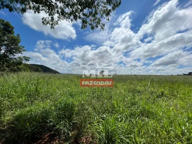 Fazenda/Sítio à venda, 173200m² no , Terezópolis de Goiás