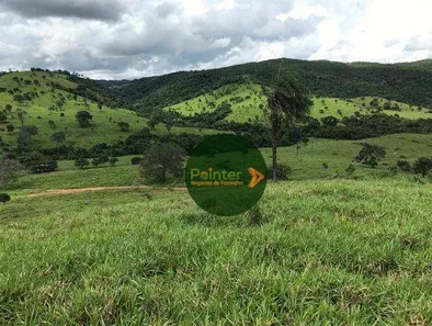 Fazenda/Sítio à venda, 4200000m² no , São Luíz do Norte